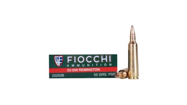 Fiocchi 22-250Rem 55gr PSP /20 22250B Caliber: .22-250 Remington, Number of Rounds: 500