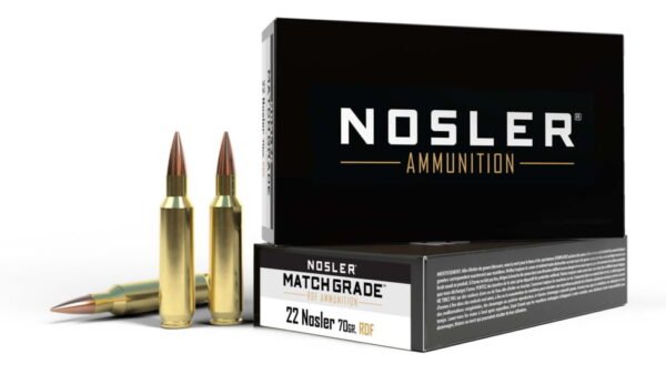 Nosler .22 Nosler Round Nose Flat 70 grain Brass Cased 500 rounds